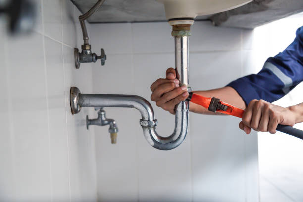 Best Residential Plumbing Services  in Lake Clarke Shores, FL