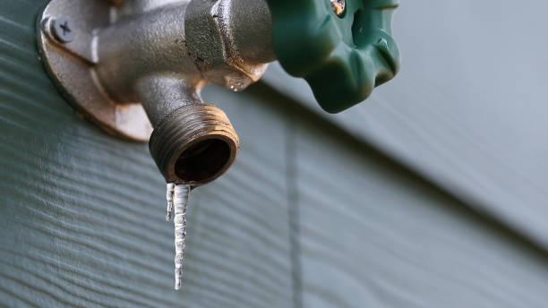 Best Plumbing Repair Near Me  in Lake Clarke Shores, FL